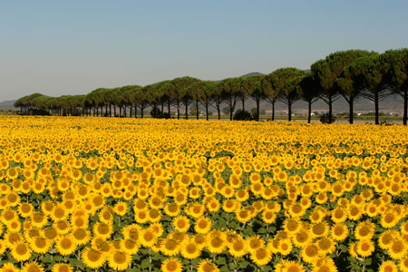 Places of Maremma.